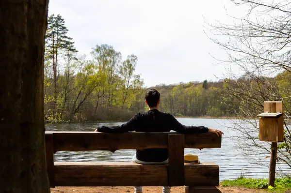 İsveç 'teki Soderasen Ulusal Parkı' nda ahşap bir bankta oturan ve göl manzarasının keyfini çıkaran bir adam.