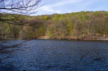 İsveç 'teki Soderasen Milli Parkı' nda göl
