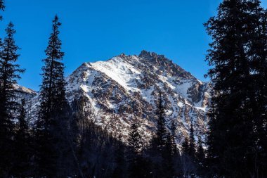 Snow capped mountains and fir trees in the Ala-Archa Nature Park in Kyrgyzstan during winter clipart