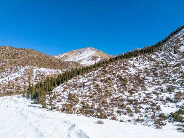 Aerial view of snow capped mountains and fir trees in the Ala-Archa Nature Park in Kyrgyzstan during winter clipart