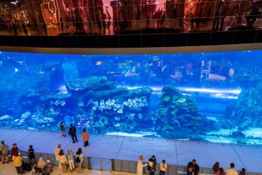 Dubai, Birleşik Arap Emirlikleri - 21 Haziran 2023 Dubai Akvaryumu