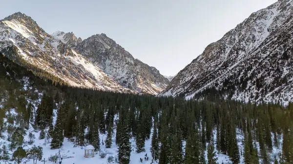 stock image Aerial view of snow capped mountains and fir trees in the Ala-Archa Nature Park in Kyrgyzstan during winter