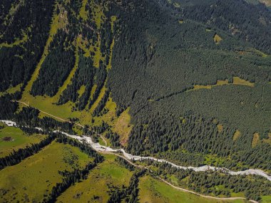Dağ nehri ve köknar ağaçlarının havadan görünüşü