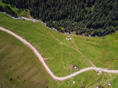 Dağ nehri ve köknar ağaçlarının havadan görünüşü