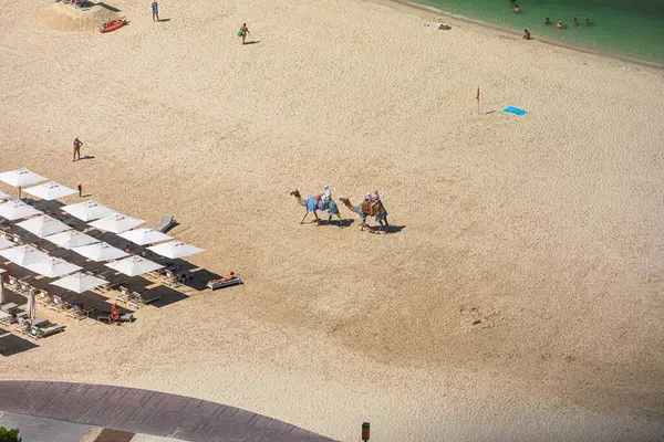 stock image Dubai, United Arab Emirates - October 12, 2023: Camel Ride Experience on Jumeirah Beach Residence (JBR) beach in Dubai during a sunny day