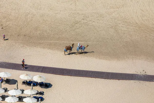 stock image Dubai, United Arab Emirates - October 12, 2023: Camel Ride Experience on Jumeirah Beach Residence (JBR) beach in Dubai during a sunny day