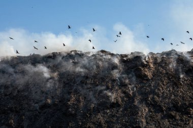 Kuşlar yanan çöp yığınlarıyla dolu bir arazide uçuyor.