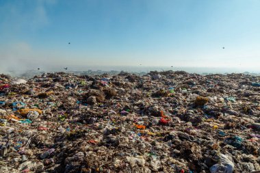 Arazide uçan kargalarla dolu çöp yığınlarını yakmak