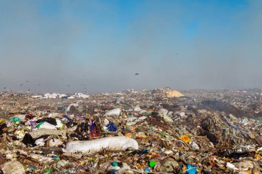 Arazide uçan kargalarla dolu çöp yığınlarını yakmak