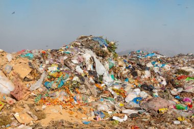 Arazide uçan kargalarla dolu çöp yığınlarını yakmak