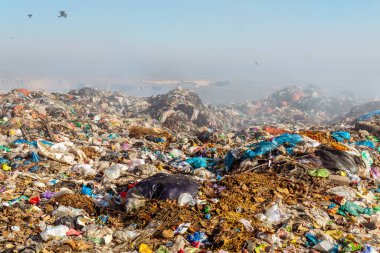 Arazide uçan kargalarla dolu çöp yığınlarını yakmak
