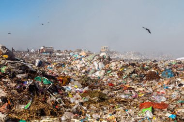 Çöp sahalarında çöp yığınları yakmak çöpleri geri dönüşümle doldurmak ve bölgede uçan kargalar yaratmak.