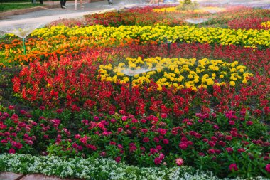 Çiçekleri sulayan sulama sisteminin kapanışı
