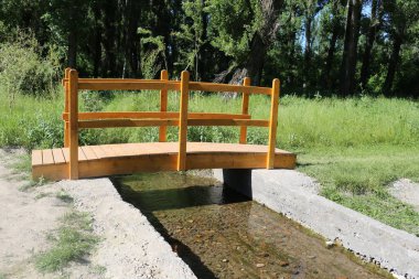 Taze inşa edilmiş ahşap köprü arka planda ağaçlarla dolu yemyeşil bir parktaki küçük bir derenin üzerinde.