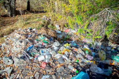 Ağaçların arasından süzülen güneş ışığıyla kirlenmiş orman bölgesi, doğal güzellik ve çevresel ihmal arasındaki zıtlığı vurguluyor.