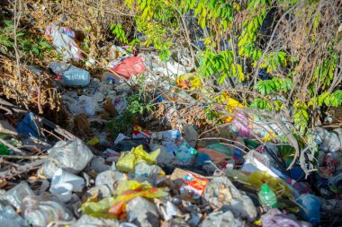 Sonbahar yaprakları ve yapraklar arasında dağınık enkazlarla dolu kirli bir orman bölgesinin rahatsız edici bir görüntüsü.