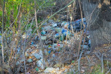 Sonbahar boyunca bir orman zeminine saçılmış çöpler, çevresel ihmalleri gösteriyor.