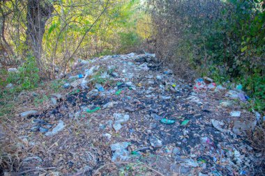 Sonbahar boyunca bir orman zeminine saçılmış çöpler, çevresel ihmalleri gösteriyor.