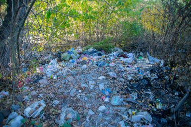 Sonbahar boyunca bir orman zeminine saçılmış çöpler, çevresel ihmalleri gösteriyor.