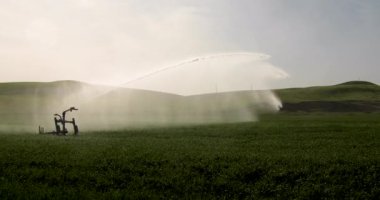 Silahlar Fıskiye Sulama Sistemi Buğday Sulama Alanı