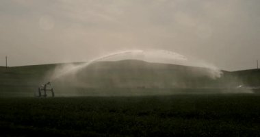 Silahlar Fıskiye Sulama Sistemi Buğday Sulama Alanı