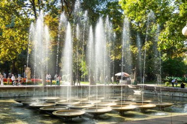 Bishkek, Kırgızistan - 31 Ağustos 2024: Oak Park 'taki Çeşme ağaçlar ve yeşilliklerle çevrili