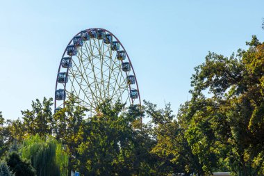 Parlak, güneşli bir günde, Bishkek 'teki bir lunaparkta ağaçların arasından renkli kamaraları olan dönme dolap görünür.