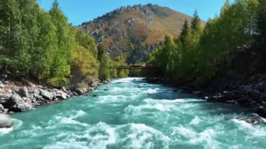 Nehrin üzerinden geçen vahşi at sürüsünün hava manzarası.