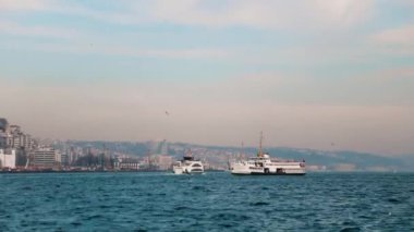 İstanbul, Türkiye - 18 Aralık 2019: İstanbul 'da Yolcu Tekneleri İstanbul Boğazı ve martıları üzerinden geçiyor