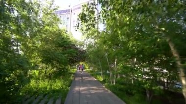 NEW YORK, ABD - 10 Temmuz 2022: High Line Park 'ın Yavaş Çekimi