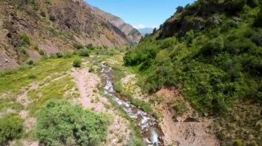 Güneşli bir günde Özbekistan 'daki yeşim taşı Urungach Gölü' nü dolduran nehrin birinci şahıs görüntüsü