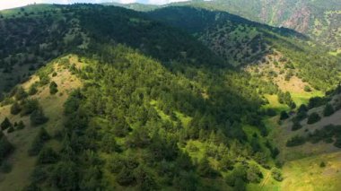 Özbekistan 'daki Zaamin Ulusal Parkı' nın hava manzarasında parçalı bulutlu bir gökyüzü altında yeşil tepeler ve yoğun ormanlar görülüyor.