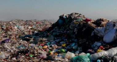 Arazi sahasında uçan kargalarla dolu çöp yığınlarının yakılması