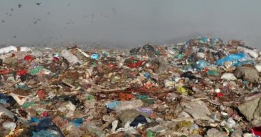 Arazi sahasında uçan kargalarla dolu çöp yığınlarının yakılması