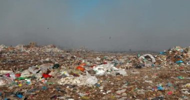 Arazide uçan kargalarla dolu çöp yığınlarını yakmak