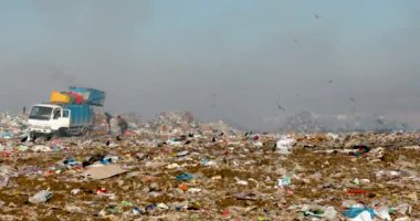 Çöp sahalarında çöp yığınları yakmak çöpleri geri dönüşümle doldurmak ve bölgede uçan kargalar yaratmak.