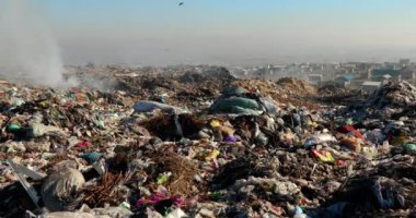 Arazi sahasında uçan kargalarla dolu çöp yığınlarının yakılması