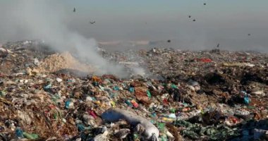 Arazi sahasında uçan kargalarla dolu çöp yığınlarının yakılması