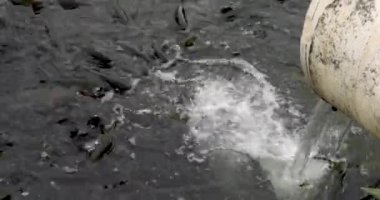 Yapay havuzlarda alabalık yetiştiriyor.