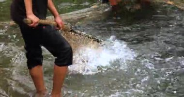 Balık çiftliğinde balık topluyorum.