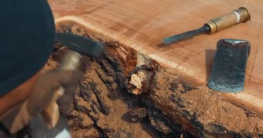 Marangoz, ağaç gövdesinden penseyle metal nesneyi kaldırıyor. El yapımı reçine ve ahşap masa.