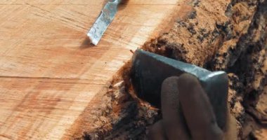 Marangoz, ağaç gövdesinden penseyle metal nesneyi kaldırıyor. El yapımı reçine ve ahşap masa.