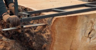 Tahta yapmak için ağaç gövdesini elektrikli testere ile kesen oduncu.
