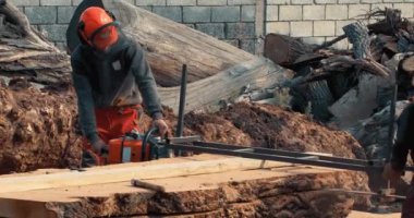 Oduncu tahta yapmak için ağaç gövdesini elektrikli testere ile kesiyor.
