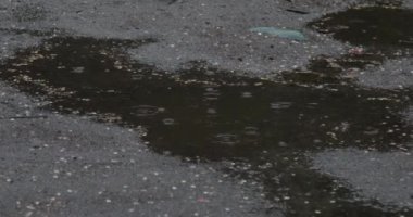 Closeup of dripping raindrops in a puddle in rainy day