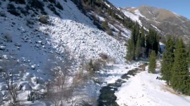 Kırgızistan 'daki Ala-Archa Doğa Parkı' ndaki karlı dağların ve köknar ağaçlarının havadan görünüşü