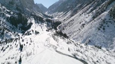 Kırgızistan 'daki Ala-Archa Doğa Parkı' ndaki karlı dağların ve köknar ağaçlarının havadan görünüşü