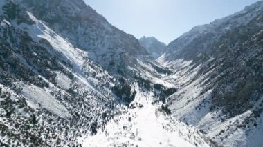 Kırgızistan 'daki Ala-Archa Doğa Parkı' ndaki karlı dağların ve köknar ağaçlarının havadan görünüşü