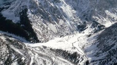 Kırgızistan 'daki Ala-Archa Doğa Parkı' ndaki karlı dağların ve köknar ağaçlarının havadan görünüşü