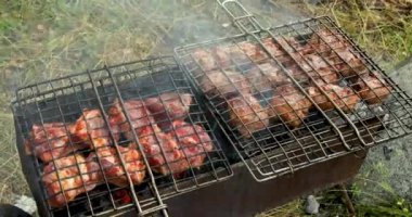 Izgara ızgara et ve mangal kömürü. Açık hava barbekü partisi.